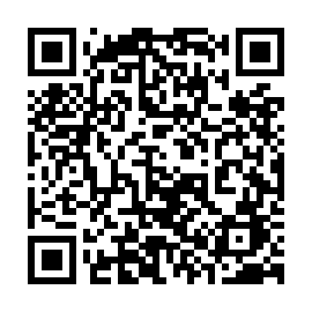 QR code for 384OGB