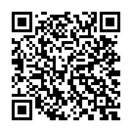 QR code for 384TPE