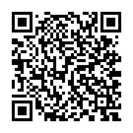 QR code for 384VMZ
