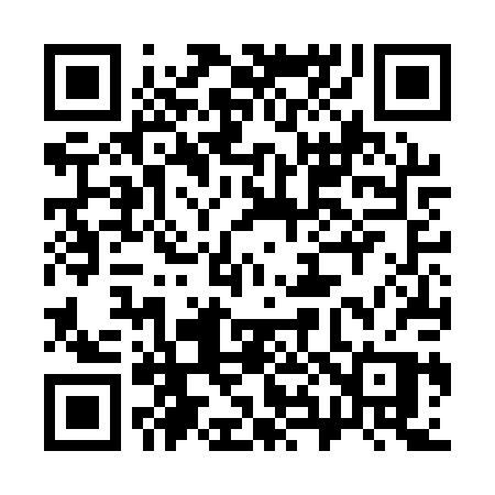 QR code for 386APP