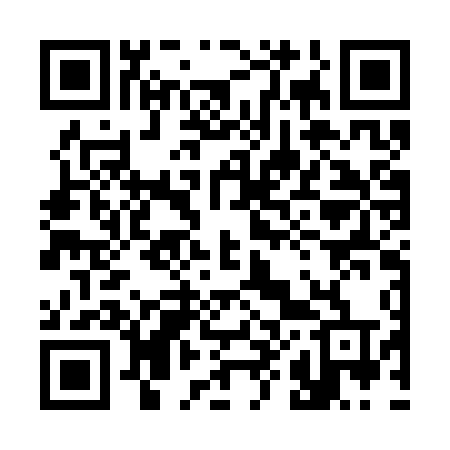 QR code for 386CTT
