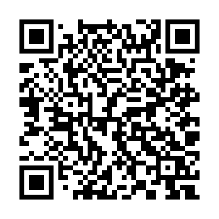 QR code for 386DJS