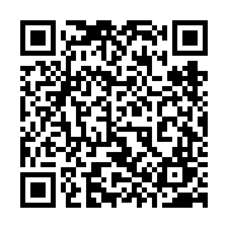 QR code for 386FFT