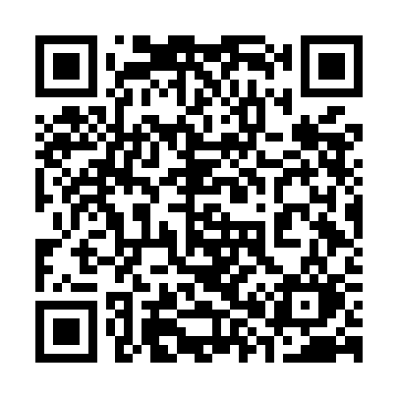 QR code for 386MCO