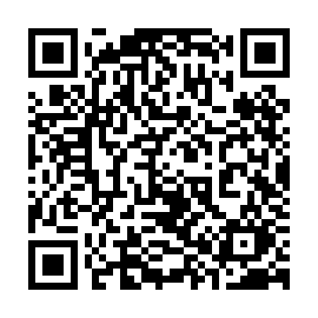 QR code for 386PKO