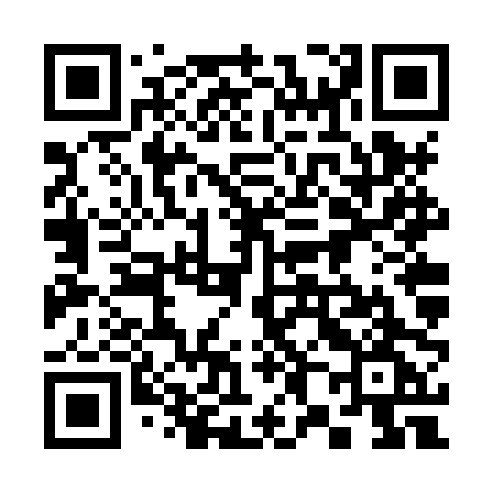 QR code for 386XPG