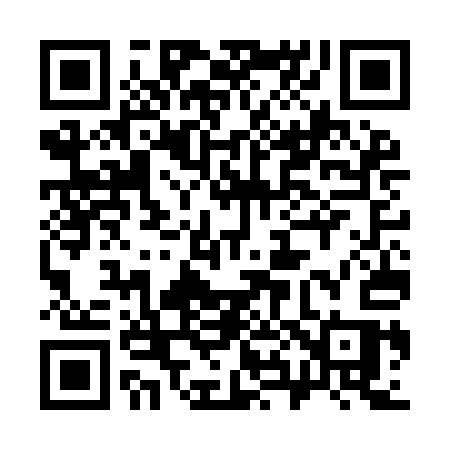 QR code for 387IAS