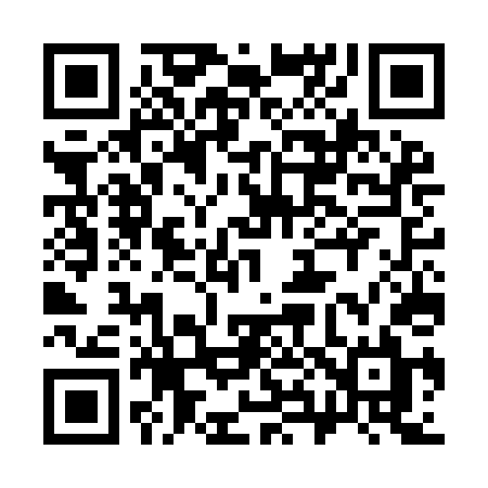 QR code for 387IDL