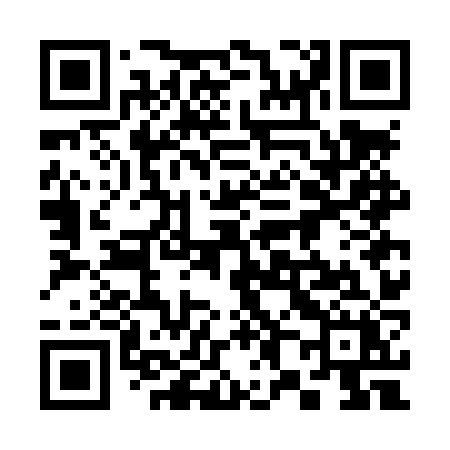 QR code for 387LZX