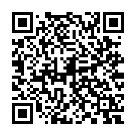 QR code for 387PCX