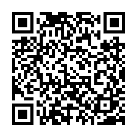 QR code for 387RYS