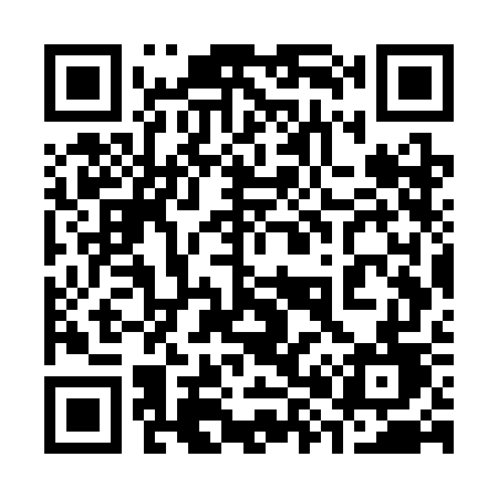 QR code for 387SGD