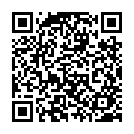 QR code for 387SMO