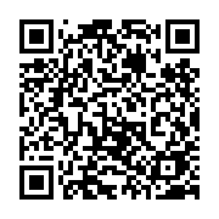 QR code for 387TIE