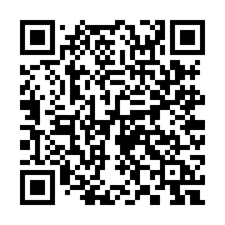 QR code for 387XGA
