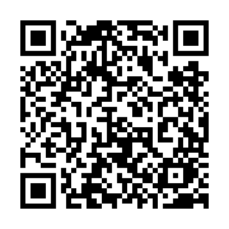 QR code for 388GOO