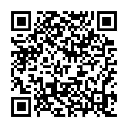 QR code for 389SVK