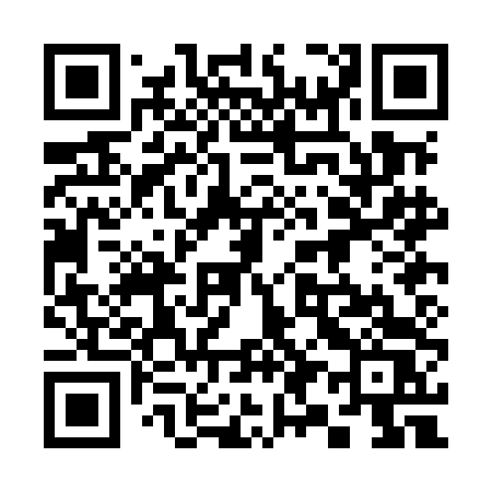QR code for 390MDS