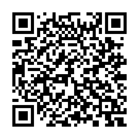 QR code for 390PAT