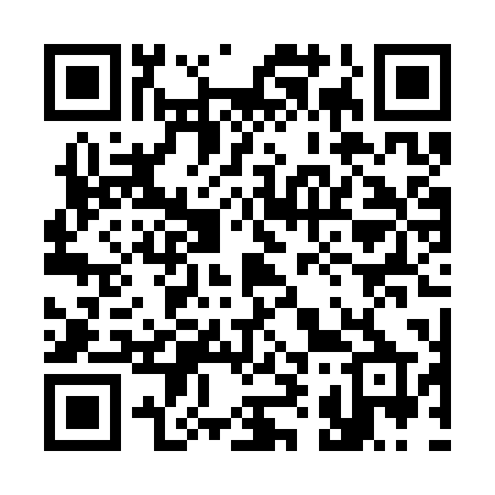 QR code for 390SPP
