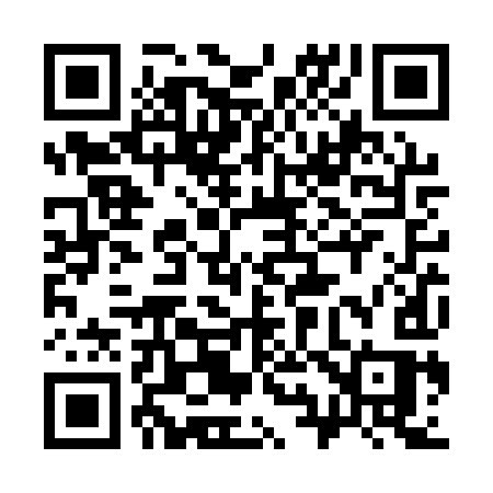QR code for 392QYS