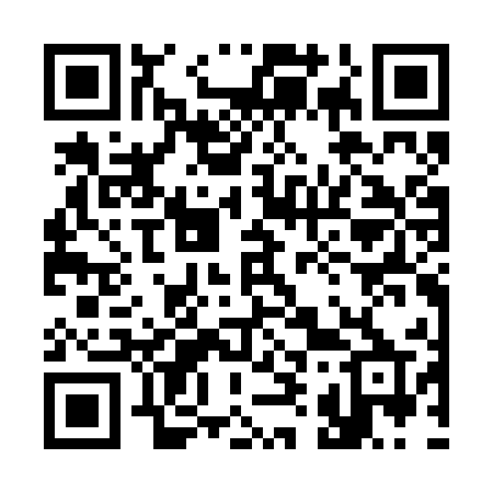 QR code for 393BUP