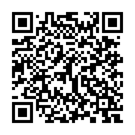QR code for 393DDU
