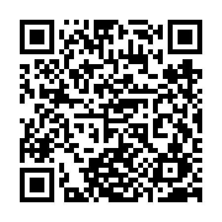 QR code for 393FSN