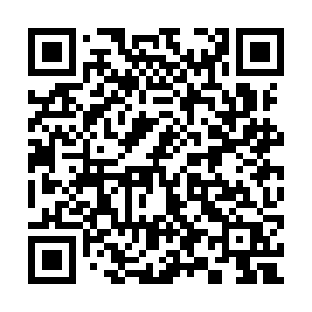 QR code for 393IJP