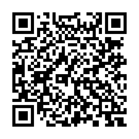 QR code for 393LBI