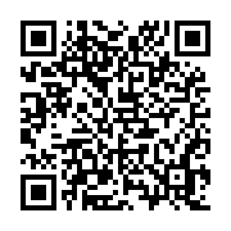 QR code for 393MDN