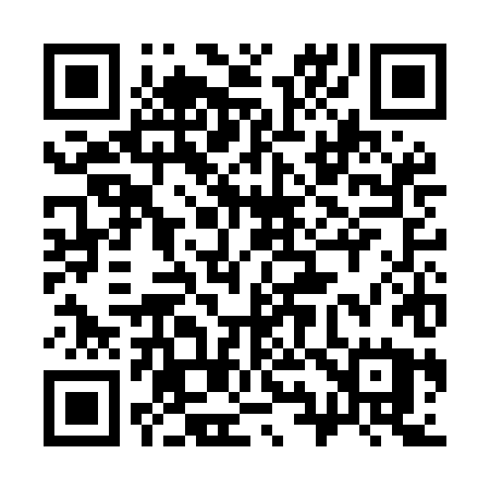 QR code for 393MHU