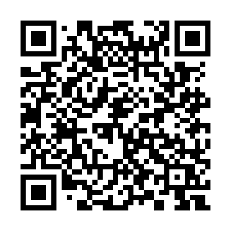 QR code for 393OLQ