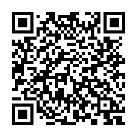 QR code for 393ORA