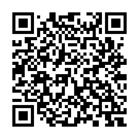 QR code for 393QRM