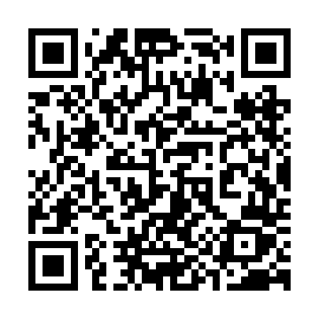 QR code for 393RDZ