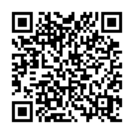 QR code for 393SDT