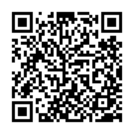 QR code for 393TMS