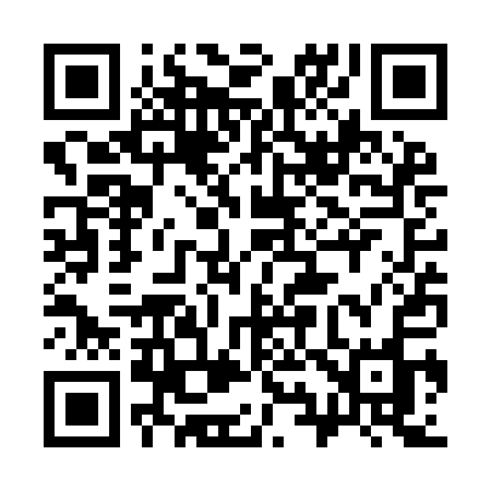 QR code for 393YAO