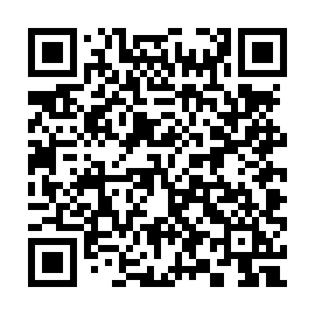 QR code for 394LXI