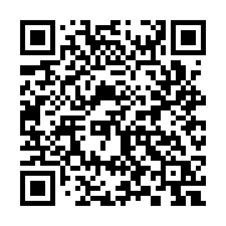 QR code for 397ASR