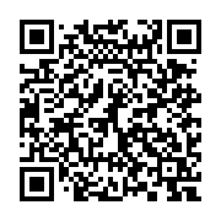 QR code for 397DIS