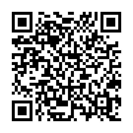 QR code for 397DNL