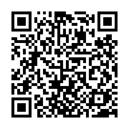 QR code for 397DSM