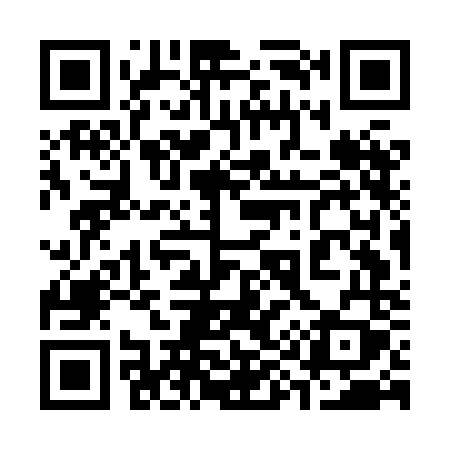 QR code for 397HNY