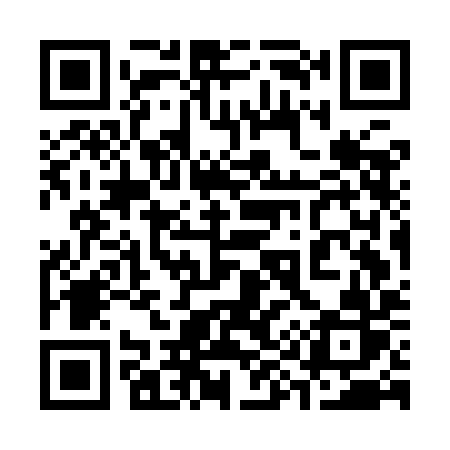 QR code for 397IIR