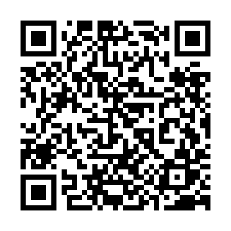 QR code for 397JIR