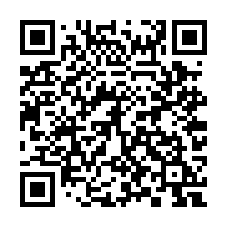 QR code for 397PKE