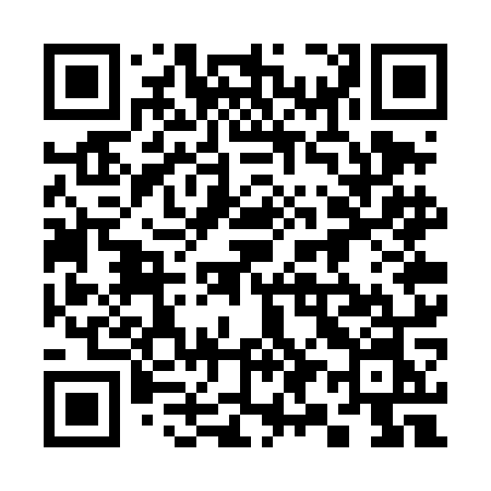 QR code for 397TON