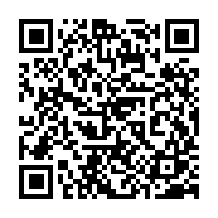 QR code for 399HYS